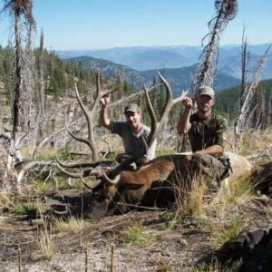 Hunters with big bull elk.