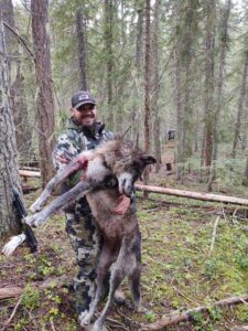 Idaho Wolf Hunts